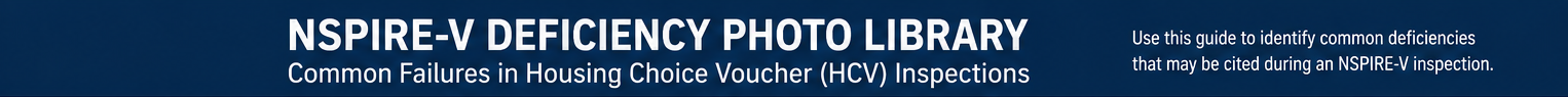 Photo header